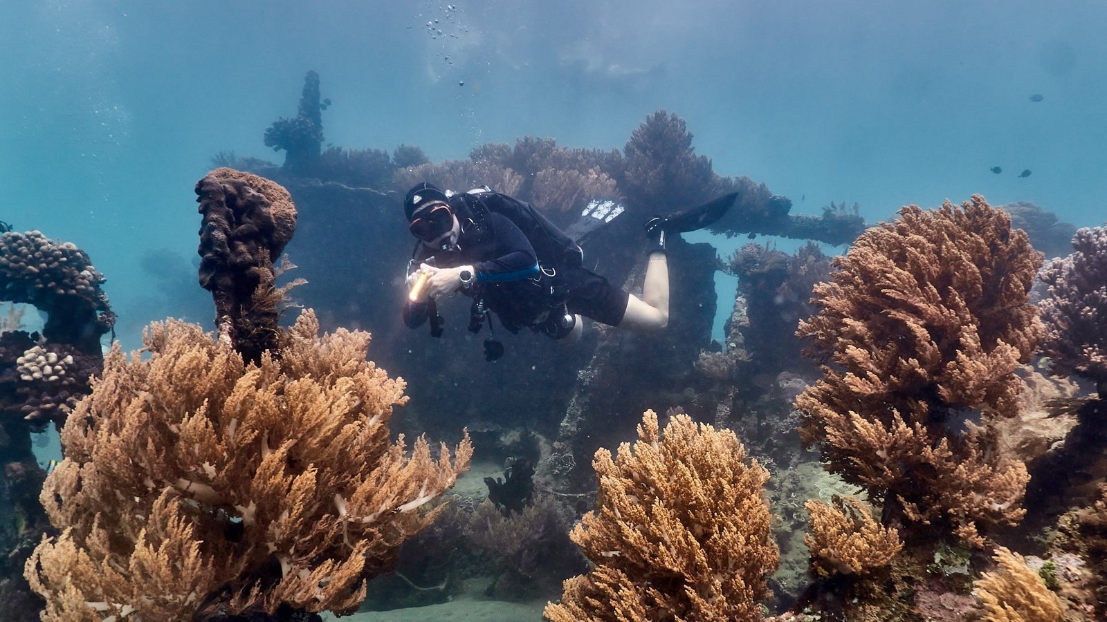 Diving in Japanese wreck in Amed, Bali