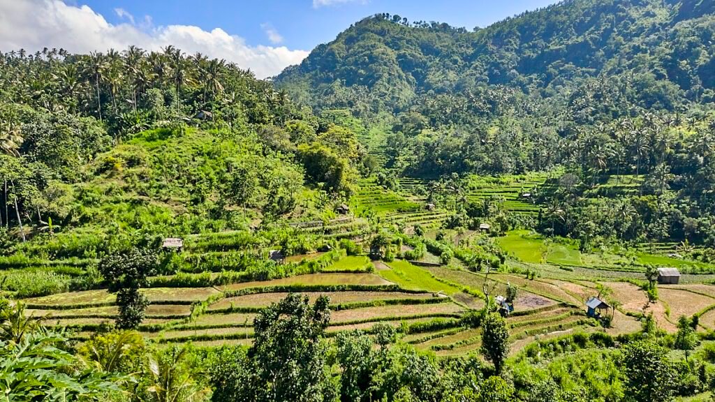 Rice terrace in Amed, Bali