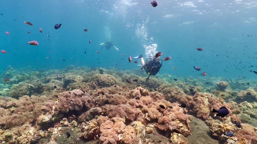 Diving in Coral Garden in Tulamben, Bali