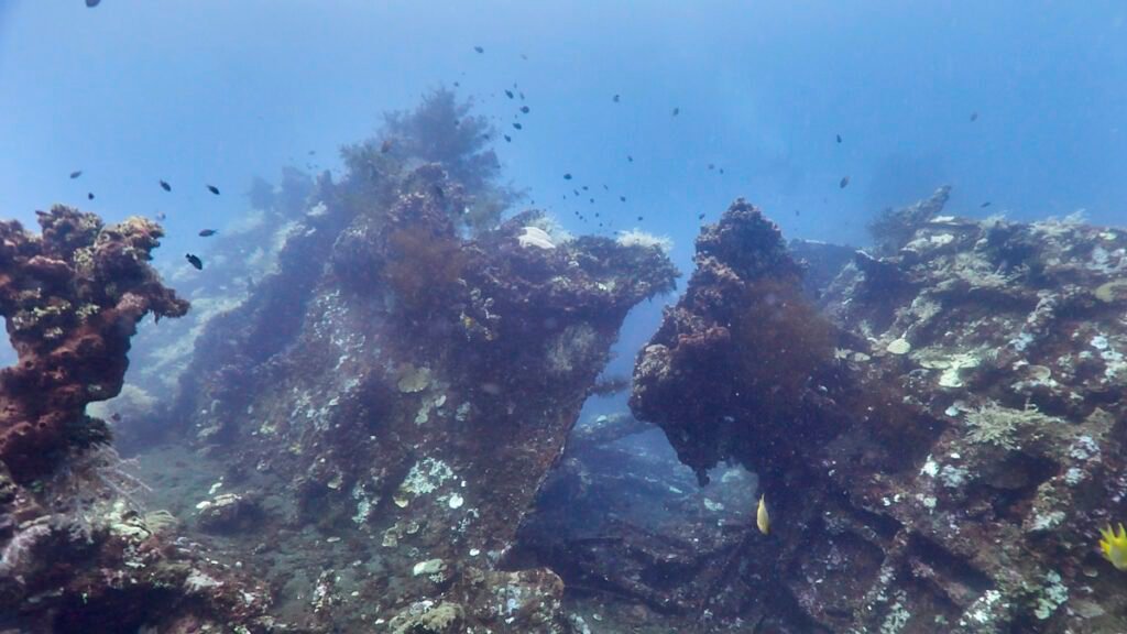 Diving in Tulamben, Bali