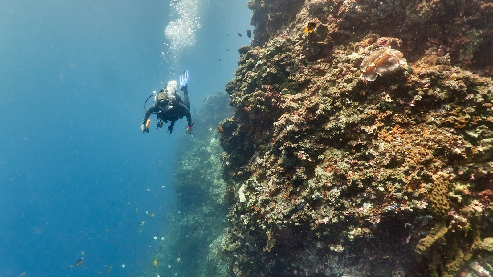 Diving in Tulamben Drop Off, Bali