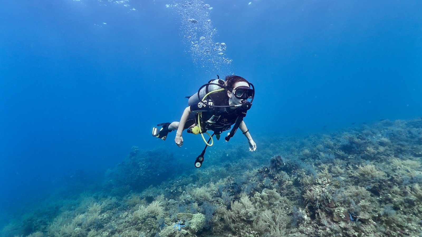 Discover Scuba Diving program