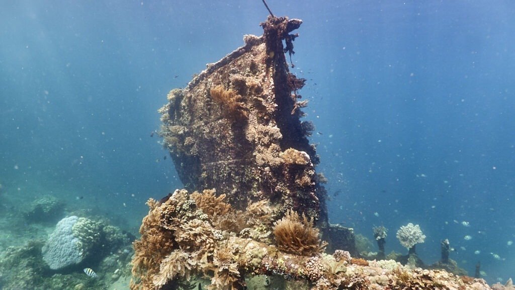 Diving in Japanese Shipwreck, Amed, Bali