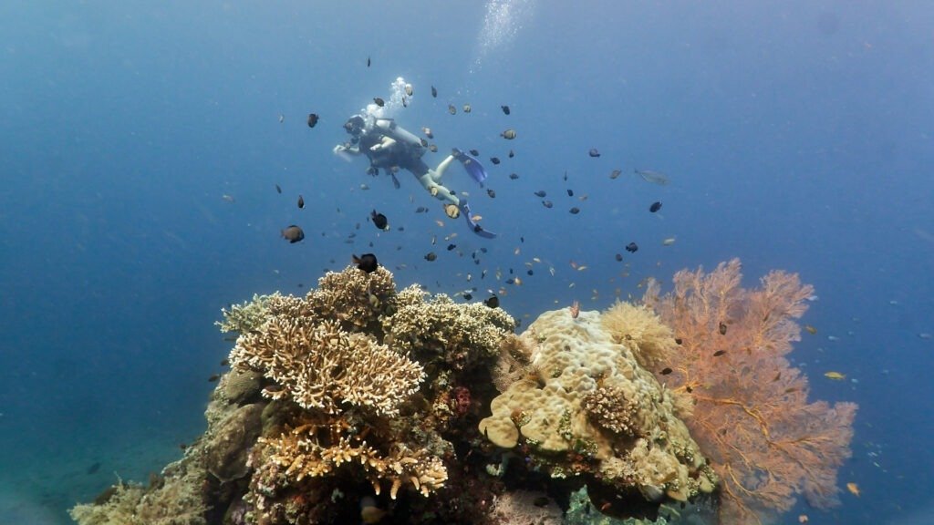 Diving in Jemeluk, Amed, Bali